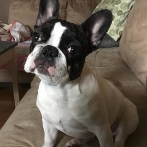 Meet your Posher, Shannon